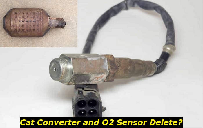 cat converter o2 sensor delete